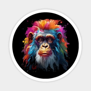 Monkey Rainbow Magnet